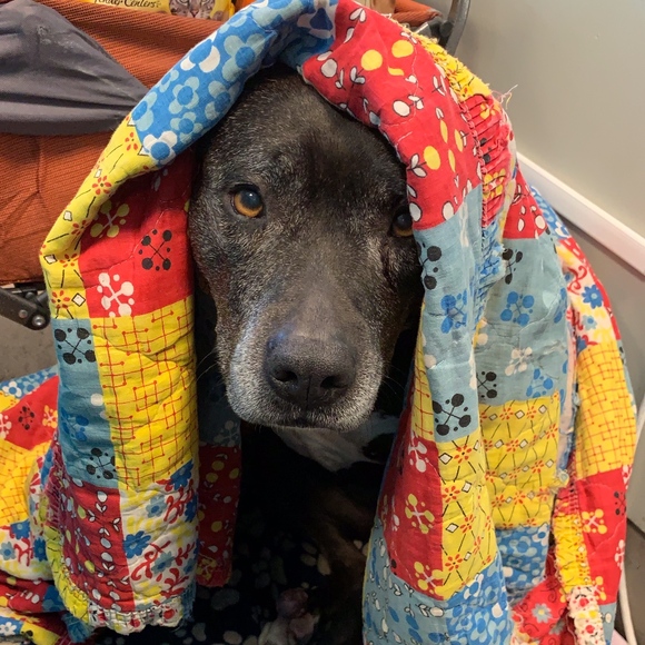 Meet your Posher, Jessica - Picture 1 of 1